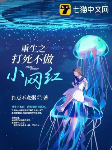 重生之打死不做小网红封面