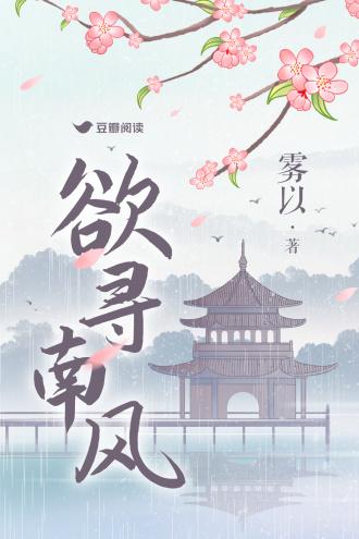 欲寻南风封面