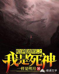 哈利波特之我是死神封面