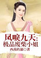 凤唳九天：极品废柴小姐封面