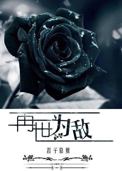 再世为敌封面
