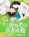 宠婚撩人：腹黑老公诱妻成瘾封面