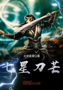 七星刀芒封面