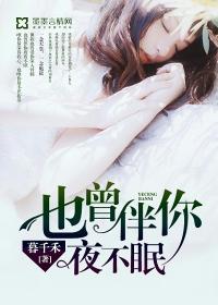 也曾伴你夜不眠封面