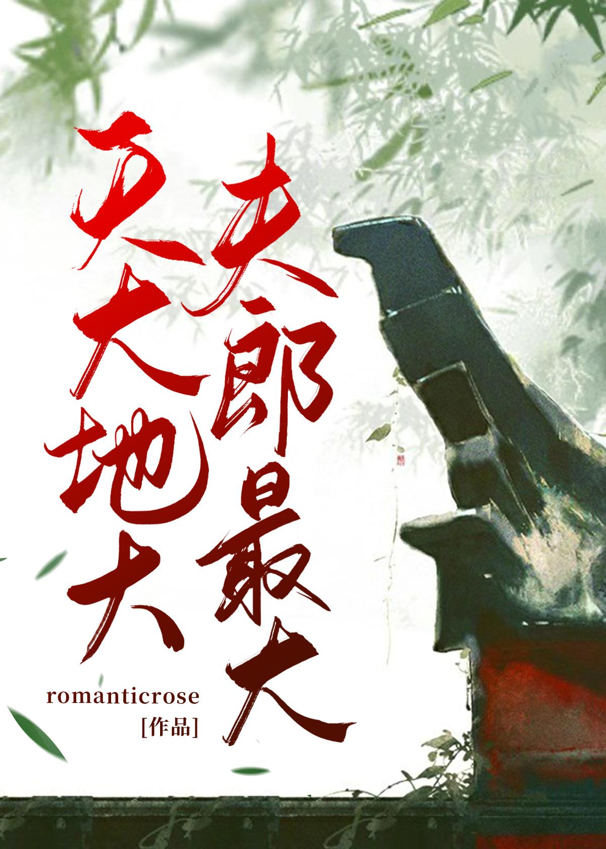 天大地大，夫郎最大封面