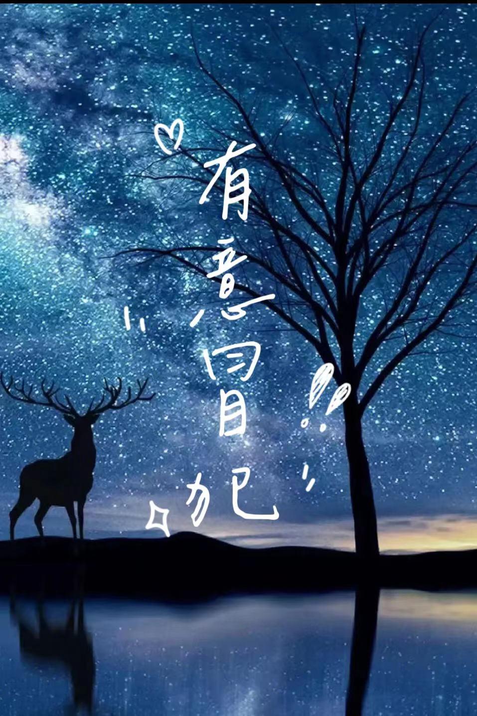 有意冒犯封面