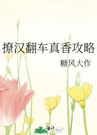 撩汉翻车真香攻略封面