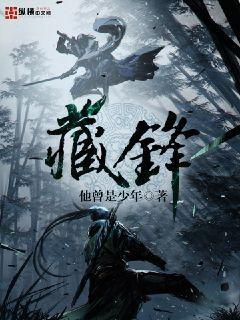 藏锋图爱封面