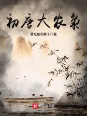 初唐大农枭封面