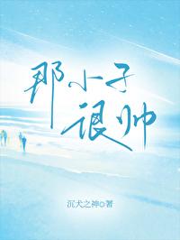 那小子很帅封面