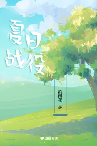夏日战役封面