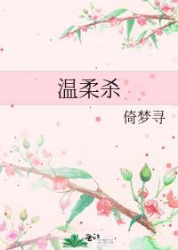 温柔杀封面