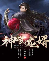神武龙婿封面