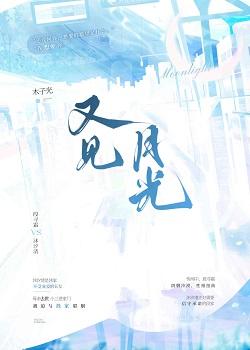 又见月光封面