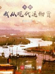 大明：我从现代运物资封面