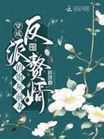 穿成反派赘婿的炮灰前妻封面