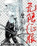 无限征服系统之水晶宫封面