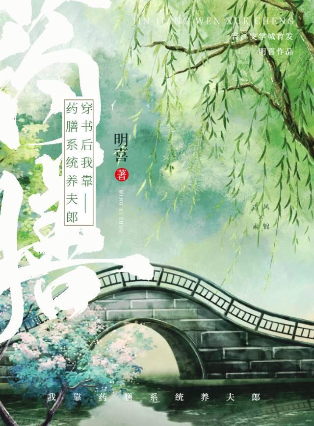 穿书后我靠药膳系统养夫郎封面