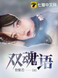 双魂语封面