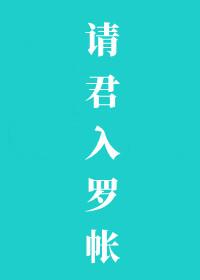 请君入罗帐封面