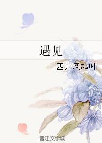 遇见封面