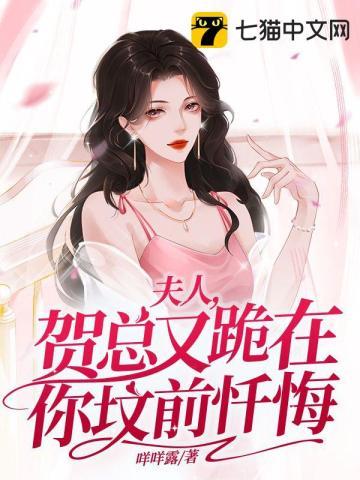 夫人，贺总又跪在你坟前忏悔封面