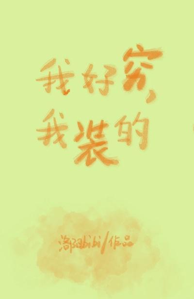 我好穷，我装的封面