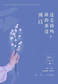 所以路的那边还是路吗封面