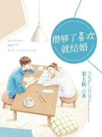 攒够了喜欢就结婚封面