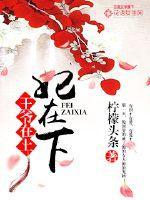王爷在上妃在下封面