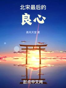 北宋最后的良心封面