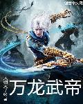 万龙武帝封面