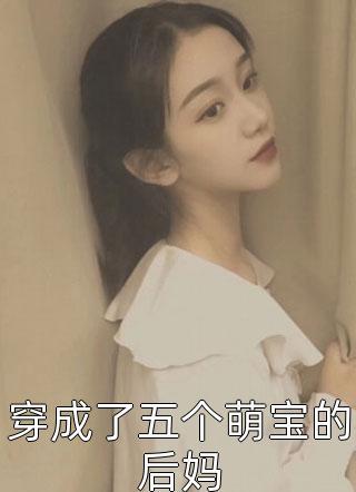 傻子萧辰封面