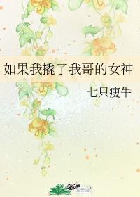 如果我撬了我哥的女神封面