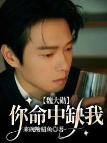魏大勋：你命中缺我封面