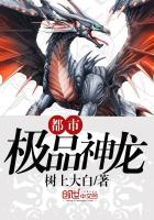 都市极品神龙封面