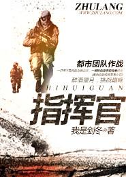 指挥官封面