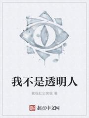 我不是透明人封面