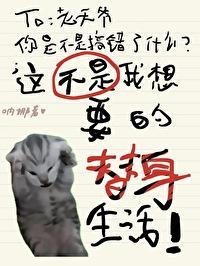这不是我想要的替身生活！封面