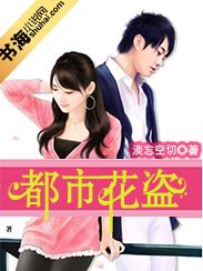 都市花盗封面