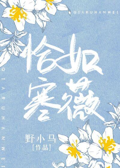 恰如寒薇封面