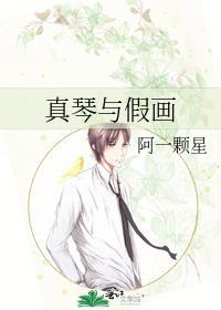 真琴与假画封面