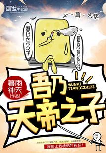 吾乃天帝之子封面
