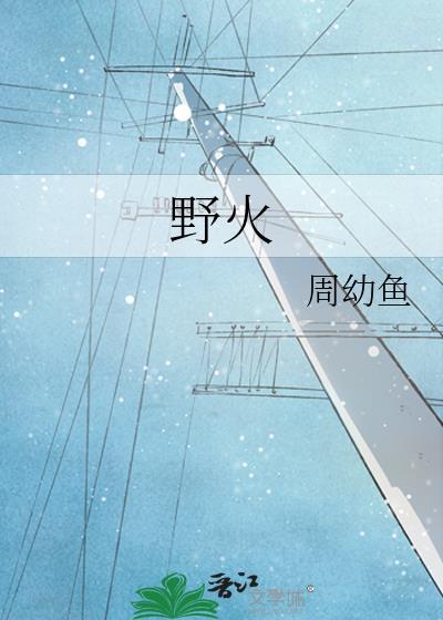 野火封面