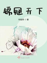 锦冠天下封面