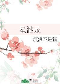 星渺录封面