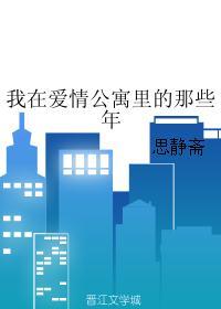 我在爱情公寓里的那些年封面
