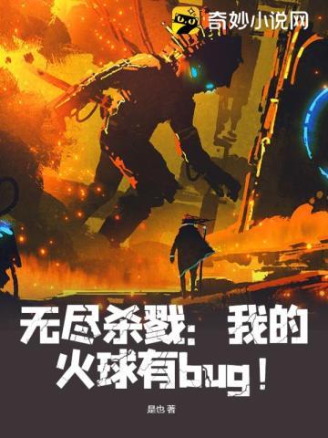 无尽杀戮：我的火球有bug！封面