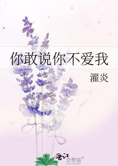 你敢说你不爱我封面