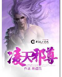 凌天邪尊封面